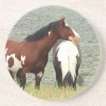 Wild Horse Coasters by Mustang Meg coasters