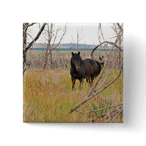 wild horse in Mesa Verde Pinback Button