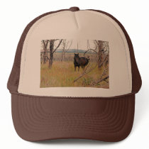 wild horse in Mesa Verde Hats