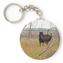 wild horse in Mesa Verde Key Chains