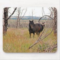 wild horse in Mesa Verde Mouse Pad