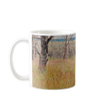 wild horse in Mesa Verde Coffee Mug