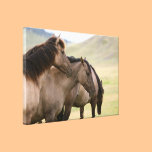 Wild Horse Large Canvas Fine Photography canvas prints