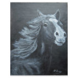 wild horse custom letterhead