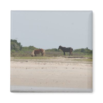 Wild Horse magnet by cooldobie