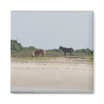 Wild Horse magnet by cooldobie Wild Horse magnet