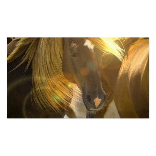 Wild Horse Photo Business Card (back side)