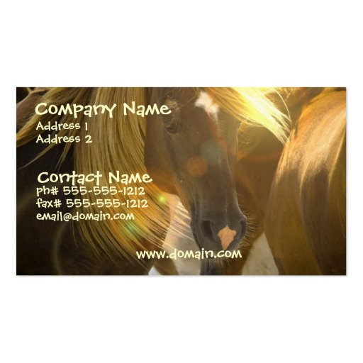 Wild Horse Photo Business Card (front side)