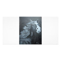wild horse photo cards