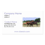 Wild Horse Round Up Business Card