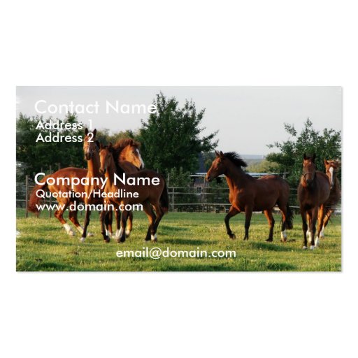 Wild Horse Round Up Business Card (front side)