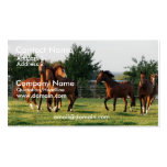Wild Horse Round Up Business Card