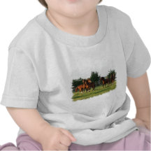 Wild Horse Roundup Baby T-Shirt