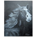 wild horse t-shirt