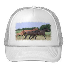 Wild Horses Baseball Hat