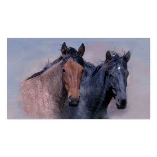 Wild Horses Business Card (front side)
