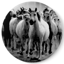 Wild Horses buttons by Horse_Play Wild Horses buttons
