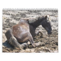 Wild Horses calendars