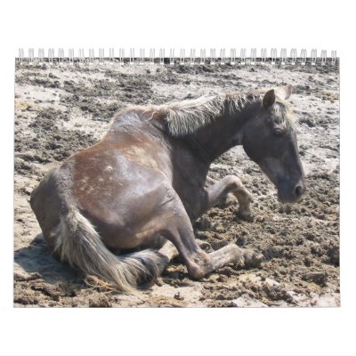 Wild Horses Wall Calendars by vicgal