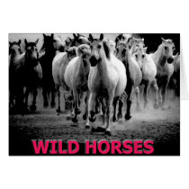 Wild Horses cards