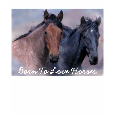 Wild Horses Ladies T-Shirt by horsesense