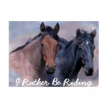 Wild Horses Ladies T-Shirt