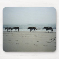 Wild horses on Assitique Island mousepads