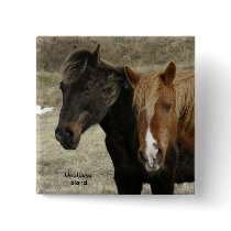 Wild Horses on Unalaska Island Buttons