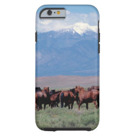 Wild Horses Out West iPhone 6 Case