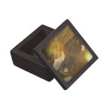 Wild Horses Photo Premium Gift Box