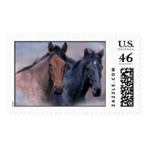 Wild Horses Postage