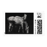 wild Horses Stamp