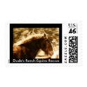 Wild Horses postage by dudesranch Wild Horses postage