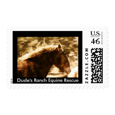 Wild Horses Postage