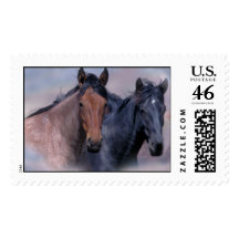 Wild Horses Postage