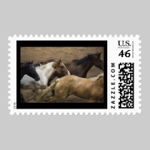 Wild Horses postage stamp stamps