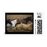 Wild Horses postage stamp