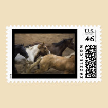Wild Horses postage stamp stamps