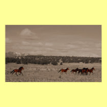 Wild Horses Poster posters