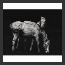 wild horses posters by Digitalwonder wild horses posters