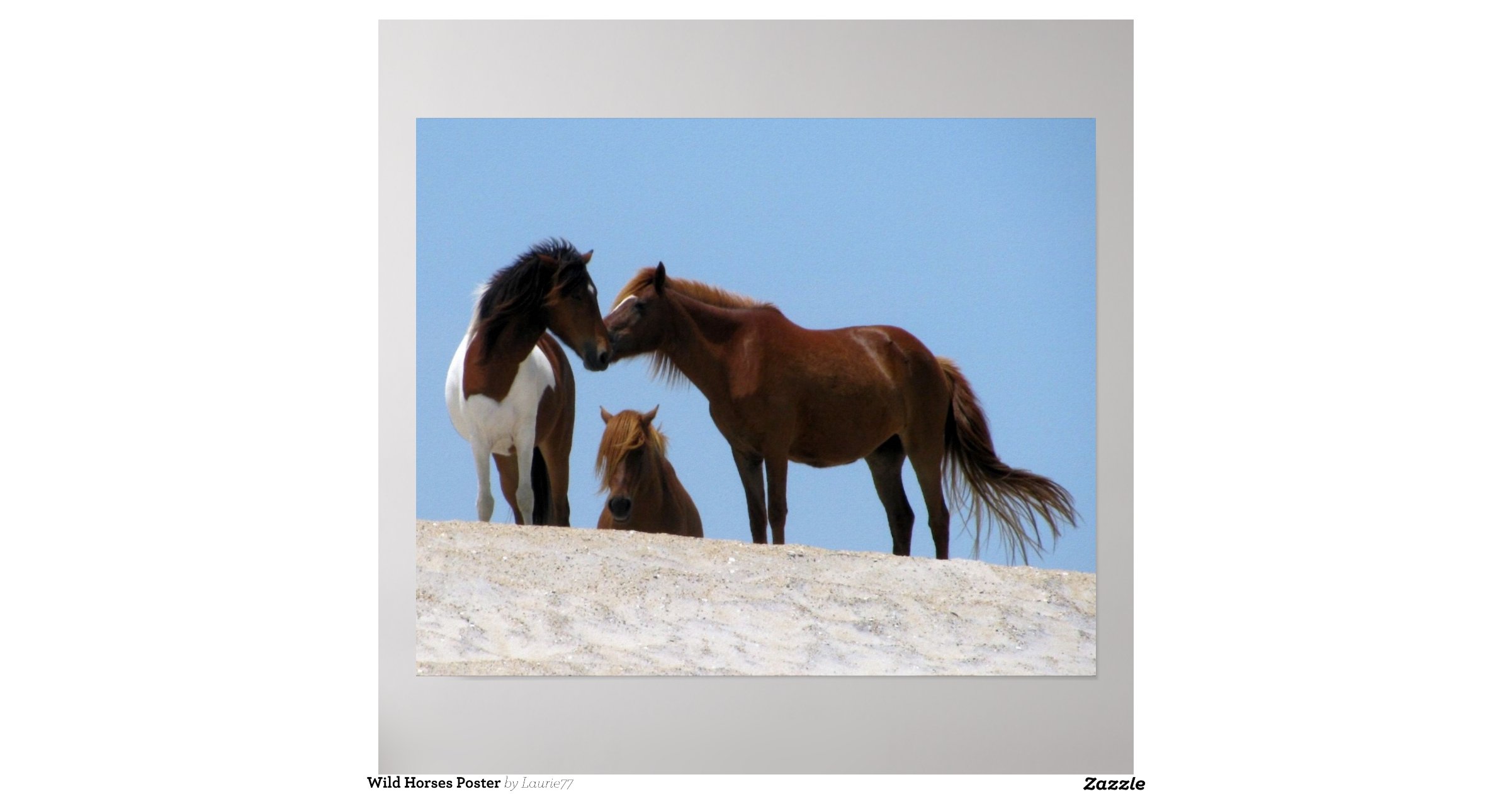 wild horse hispanic single men Meet single muslim men in wild horse is your life ready to meet a single muslim man to commit your attention to or are you only looking for someone to go see a. wild horse hispanic single men Meet single muslim men in wild horse is your life ready to meet a single muslim man to commit your attention to or are you only looking for someone to go see a.