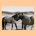 Wild Horses posters