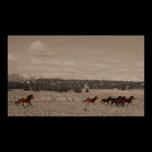 Wild Horses Poster posters
