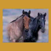 Wild Horses Print posters
