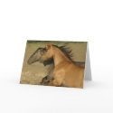 Wild Horses Returning to Freedom card