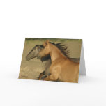 Wild Horses Returning to Freedom
