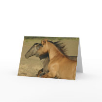 Wild Horses Returning to Freedom cards by fyrelyte Wild Horses Returning to Freedom cards