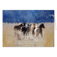 Wild horses running card