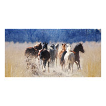 Wild horses running personalized photo card