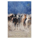 Wild horses running personalized stationery